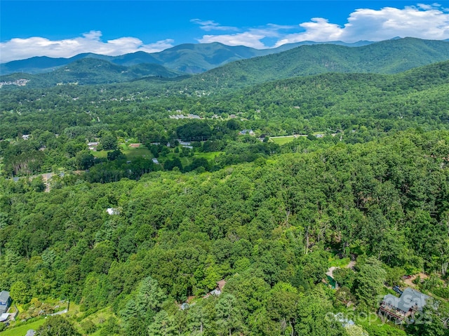 99999 Old Toll Rd Unit 81Cotr, Black Mountain, NC 28711 - photo 20