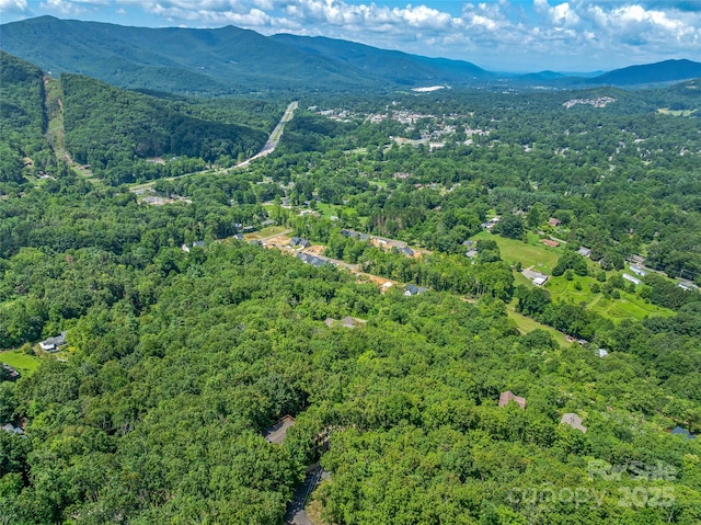 99999 Old Toll Rd Unit 81Cotr, Black Mountain, NC 28711 - photo 21