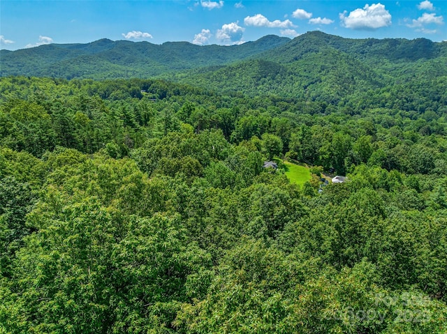 99999 Old Toll Rd Unit 81Cotr, Black Mountain, NC 28711 - photo 22