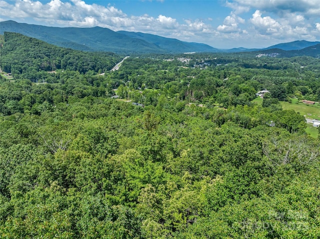99999 Old Toll Rd Unit 81Cotr, Black Mountain, NC 28711 - photo 23