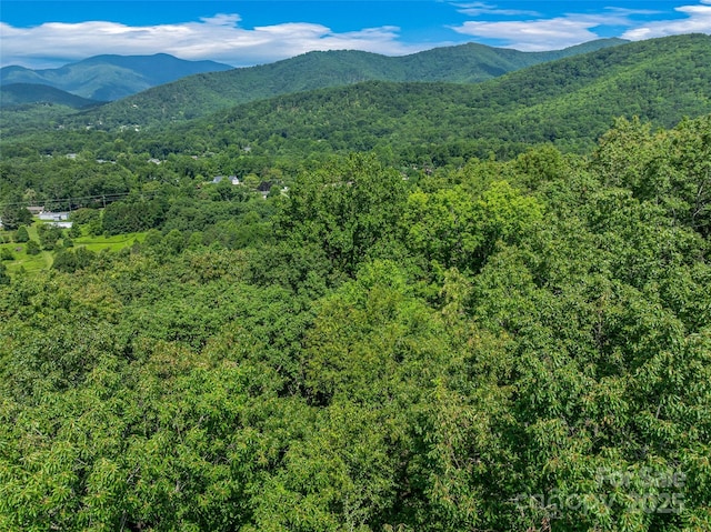 99999 Old Toll Rd Unit 81Cotr, Black Mountain, NC 28711 - photo 24
