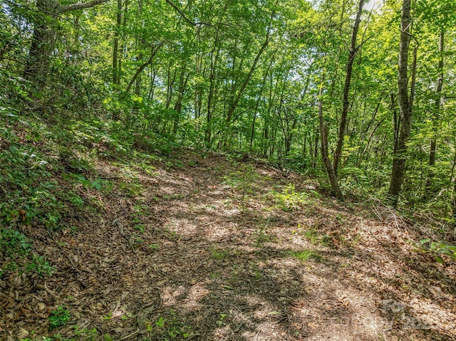 99999 Old Toll Rd Unit 81Cotr, Black Mountain, NC 28711 - photo 26