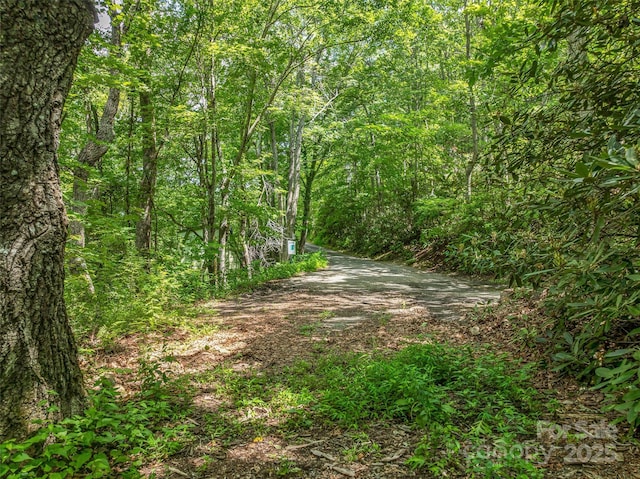 99999 Old Toll Rd Unit 81Cotr, Black Mountain, NC 28711 - photo 27