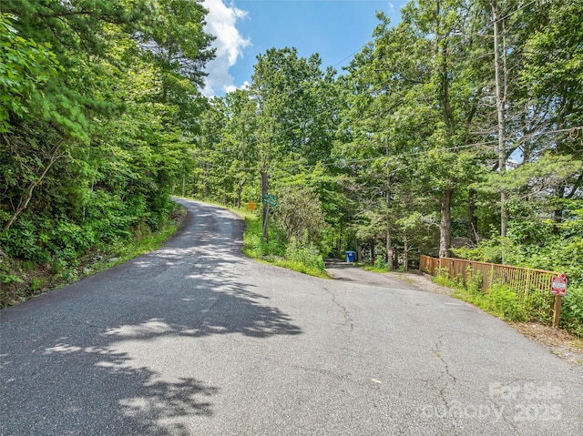99999 Old Toll Rd Unit 81Cotr, Black Mountain, NC 28711 - photo 28