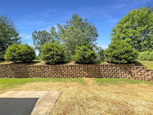 1915 Birchbrook Ct, Harrisburg, NC 28075 - photo 9