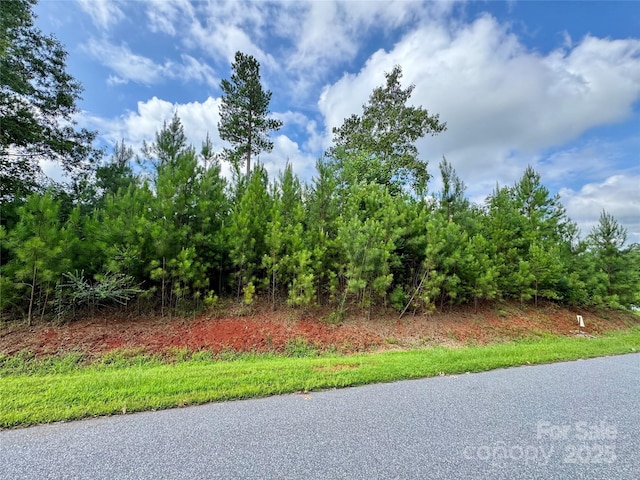 2039 Lake Vista Dr NE Unit 38, Connelly Springs, NC 28612 - photo 1