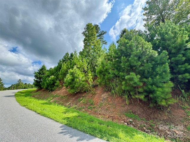 2039 Lake Vista Dr NE Unit 38, Connelly Springs, NC 28612 - photo 4