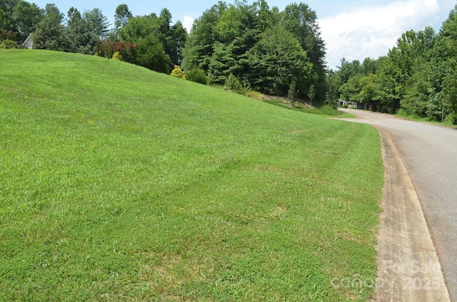 205 Henrys Glen Dr, Morganton, NC 28655 - photo 3