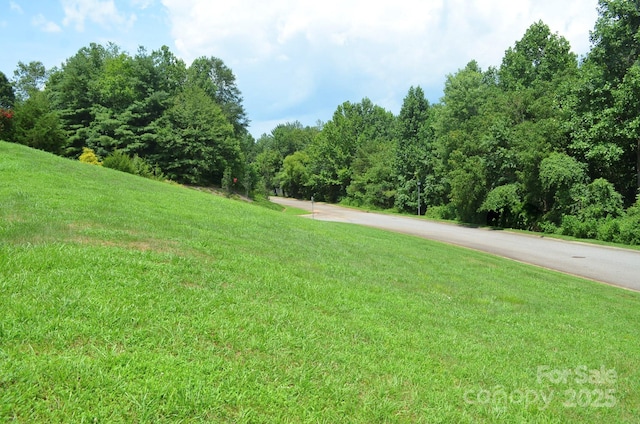 205 Henrys Glen Dr, Morganton, NC 28655 - photo 4