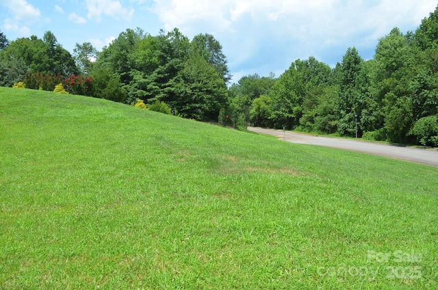 205 Henrys Glen Dr, Morganton, NC 28655 - photo 6
