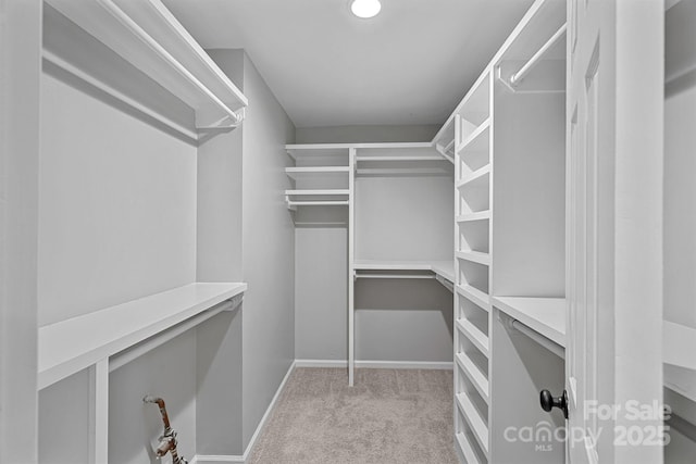 10415 Danesway Ln, Cornelius, NC 28031 - photo 14