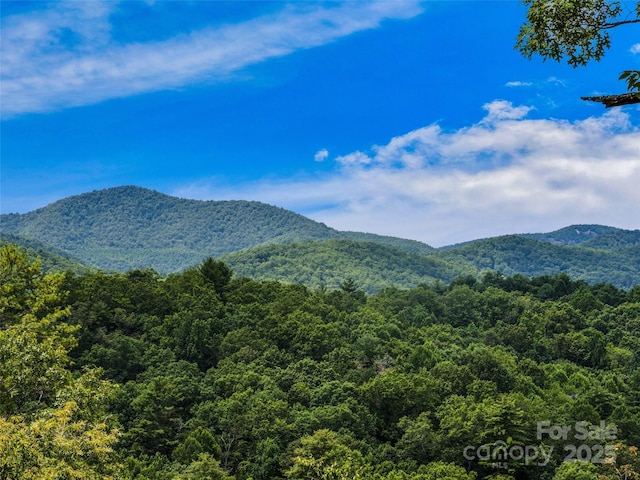 LOT10 S Hill Dr, Brevard, NC 28712 - photo 1
