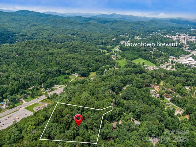 LOT10 S Hill Dr, Brevard, NC 28712 - photo 2