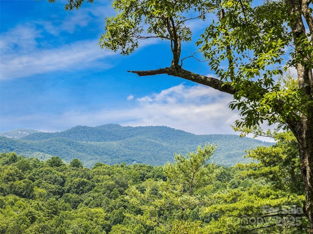 LOT10 S Hill Dr, Brevard, NC 28712 - photo 3