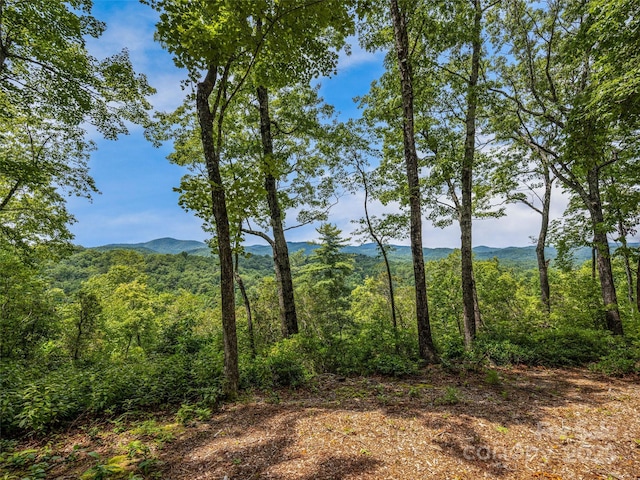 LOT10 S Hill Dr, Brevard, NC 28712 - photo 5