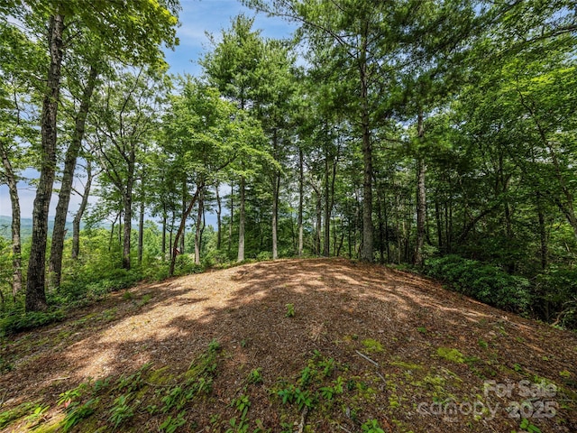 LOT10 S Hill Dr, Brevard, NC 28712 - photo 6
