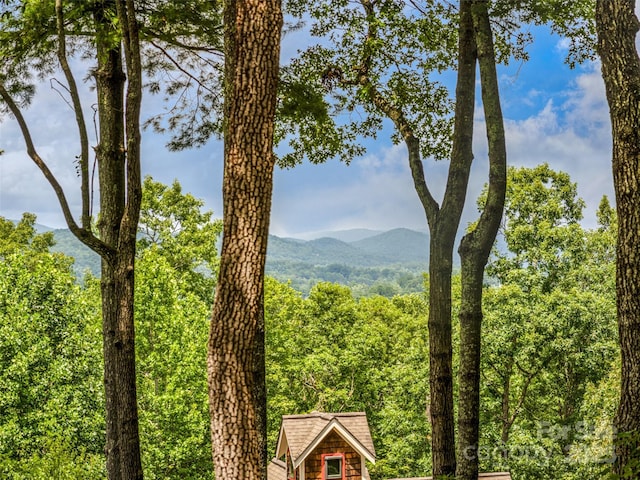 LOT10 S Hill Dr, Brevard, NC 28712 - photo 7