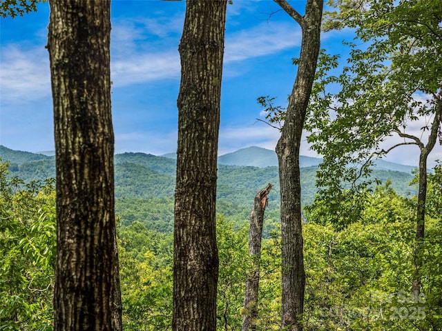 LOT10 S Hill Dr, Brevard, NC 28712 - photo 8