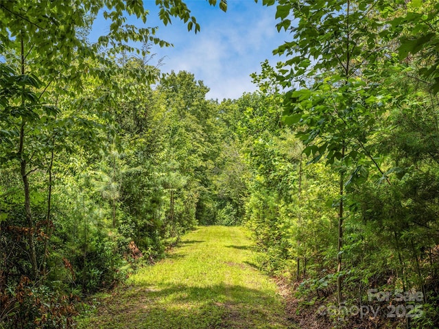 LOT10 S Hill Dr, Brevard, NC 28712 - photo 9