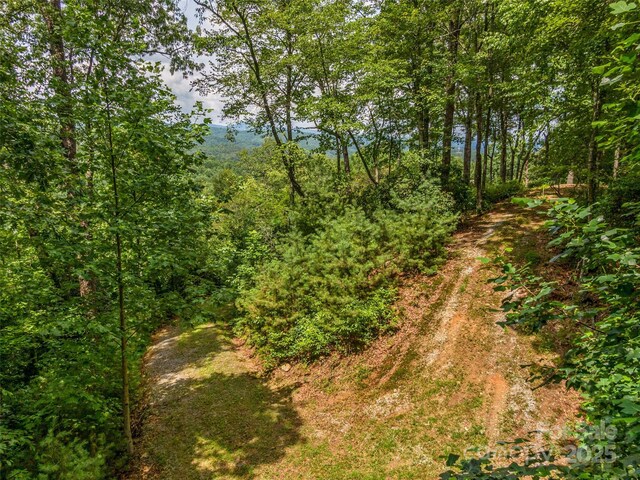 LOT10 S Hill Dr, Brevard, NC 28712 - photo 10