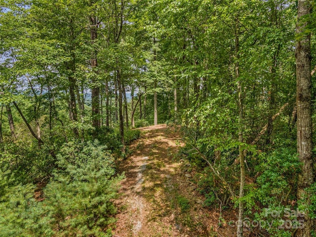 LOT10 S Hill Dr, Brevard, NC 28712 - photo 11