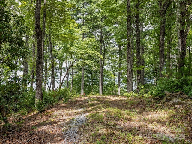 LOT10 S Hill Dr, Brevard, NC 28712 - photo 12