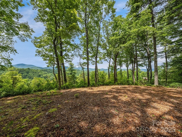 LOT10 S Hill Dr, Brevard, NC 28712 - photo 13
