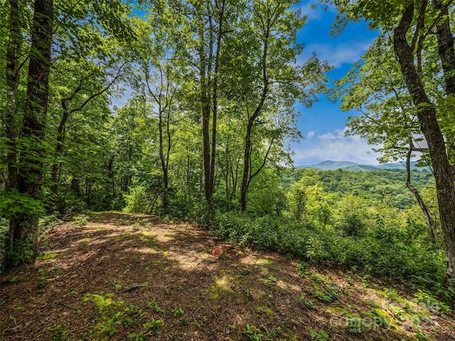 LOT10 S Hill Dr, Brevard, NC 28712 - photo 14
