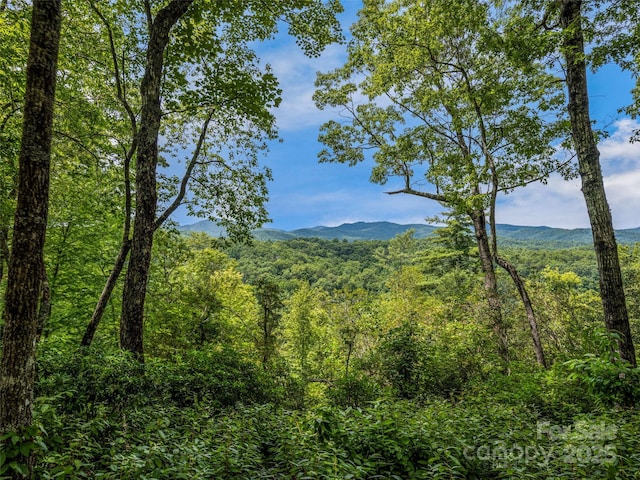 LOT10 S Hill Dr, Brevard, NC 28712 - photo 15