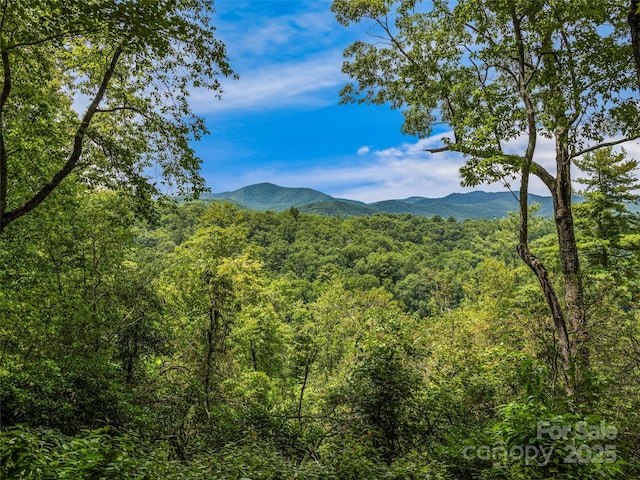 LOT10 S Hill Dr, Brevard, NC 28712 - photo 16