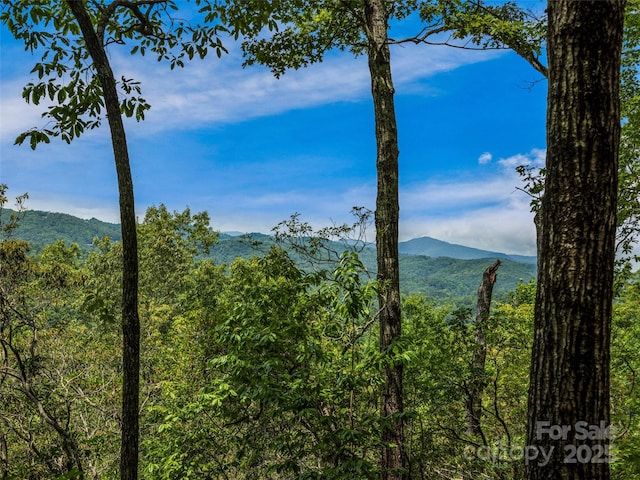LOT10 S Hill Dr, Brevard, NC 28712 - photo 17