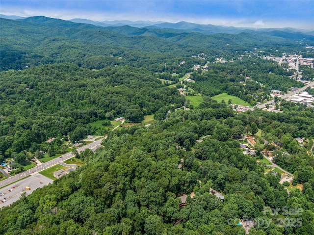 LOT10 S Hill Dr, Brevard, NC 28712 - photo 18