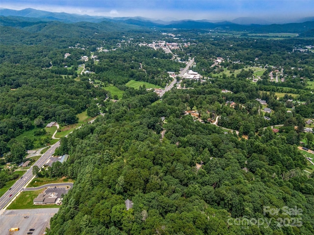 LOT10 S Hill Dr, Brevard, NC 28712 - photo 19