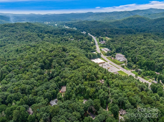 LOT10 S Hill Dr, Brevard, NC 28712 - photo 20