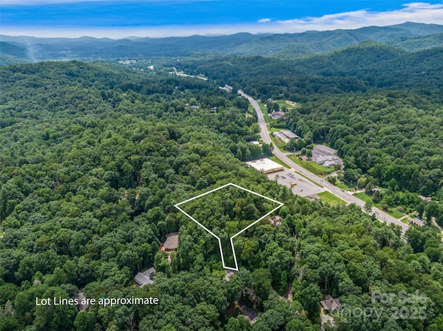 LOT10 S Hill Dr, Brevard, NC 28712 - photo 22