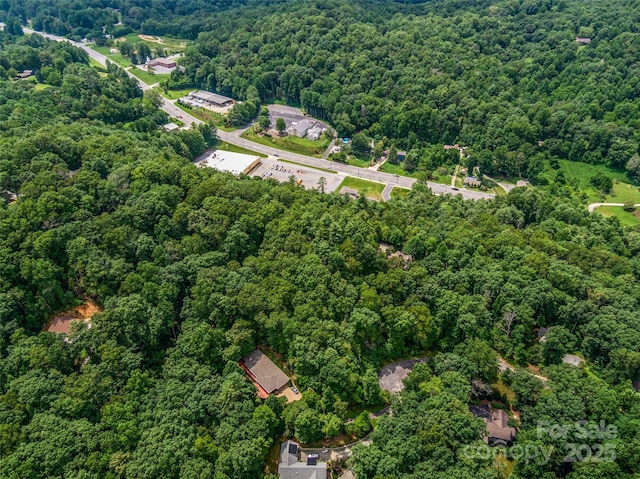 LOT10 S Hill Dr, Brevard, NC 28712 - photo 23