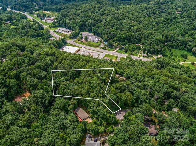 LOT10 S Hill Dr, Brevard, NC 28712 - photo 24