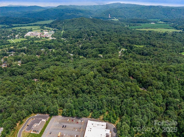 LOT10 S Hill Dr, Brevard, NC 28712 - photo 26