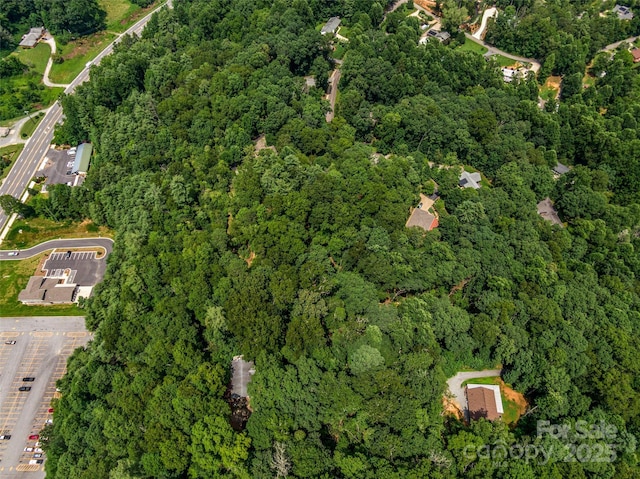 LOT10 S Hill Dr, Brevard, NC 28712 - photo 27