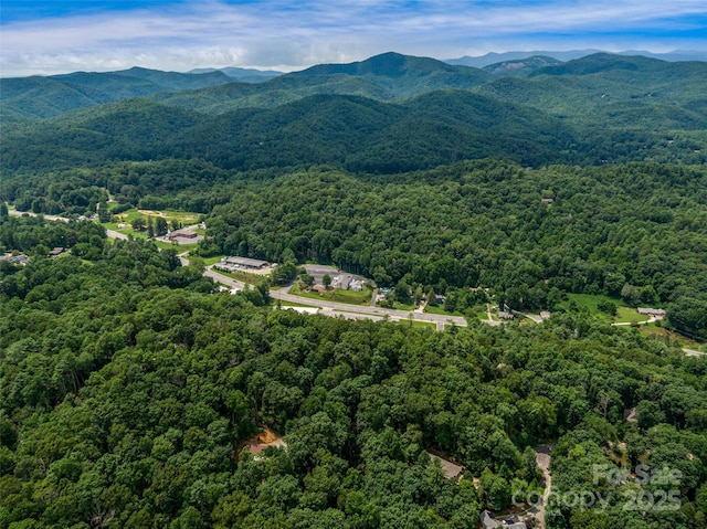 LOT10 S Hill Dr, Brevard, NC 28712 - photo 28