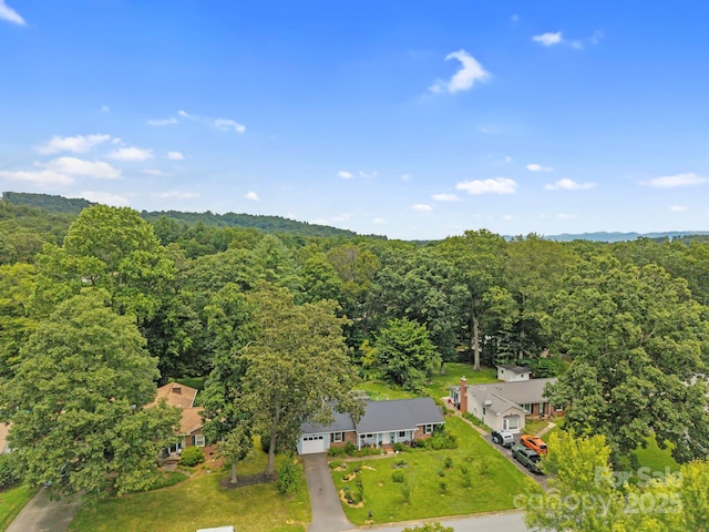 306 Pole Creasman Rd, Asheville, NC 28806 - photo 32