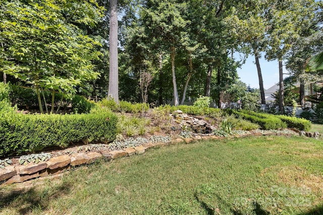 12508 Stirling Trace Ct, Charlotte, NC 28277 - photo 30
