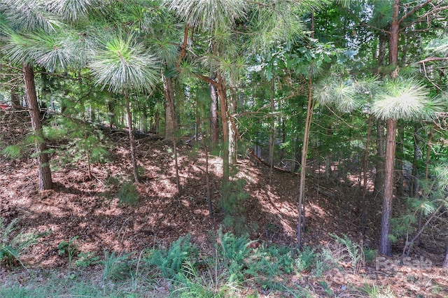 496 Kenway Loop, Mooresville, NC 28117 - photo 4