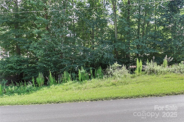 496 Kenway Loop, Mooresville, NC 28117 - photo 8