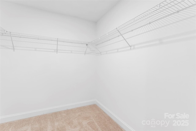 2448 Spruce St, Kannapolis, NC 28081 - photo 20