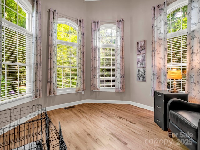 53 Kanuga Forest Dr, Hendersonville, NC 28739 - photo 20