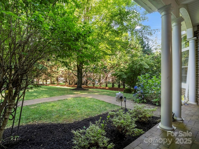 53 Kanuga Forest Dr, Hendersonville, NC 28739 - photo 39