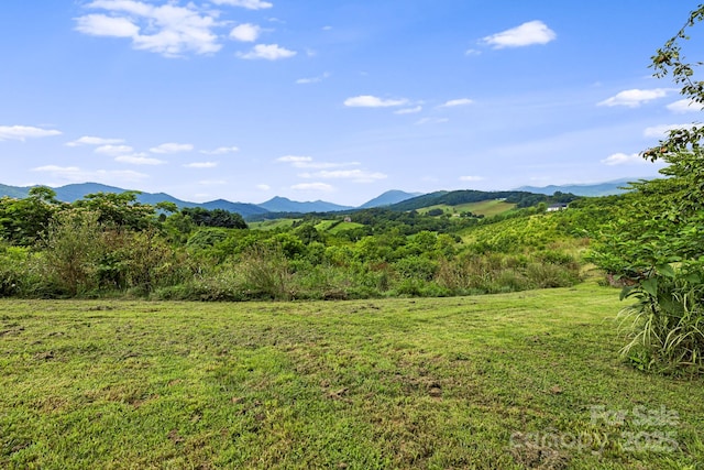 16 Pearl Mountain Rdg, Leicester, NC 28748 - photo 35