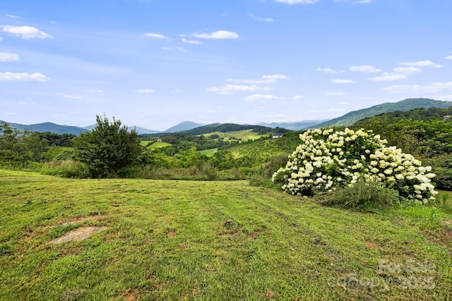 16 Pearl Mountain Rdg, Leicester, NC 28748 - photo 38