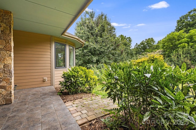 16 Pearl Mountain Rdg, Leicester, NC 28748 - photo 40